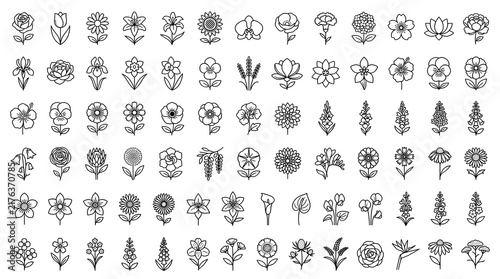 Minimalist floral pattern grid with many small line art flower icons for seamless design