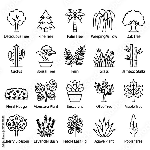 Tree and plant icon set with evergreen deciduous trees palms bonsai and tropical foliage vector