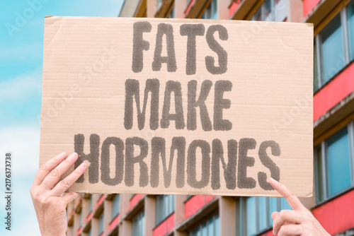 Obraz na płótnie "Fats make hormones" Cholesterol and lipids build steroid hormones
