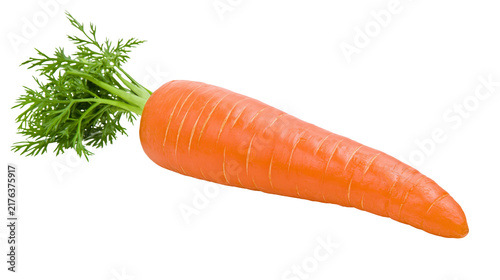 Fresh whole orange carrot with vibrant green leafy top foliage