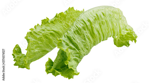 Fotografie Fresh vibrant green lettuce leaves with ruffled edges