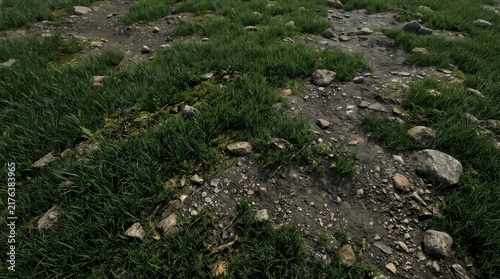 Overhead view of a natural outdoor path with green grass, small rocks, and dirt, creating a textured ground surface, concept of nature's path and organic textures