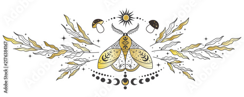 Cuadro en lienzo Mystic celestial moth with sun and moon symbols