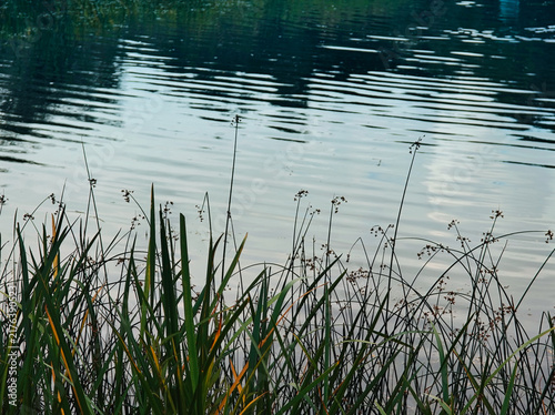 Dramatic backwater lake landscape background