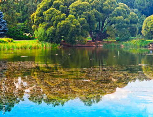 Dramatic tree reflection in park lake landscape backdrop