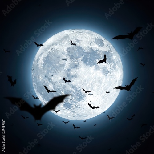 Silhouettes of birds flying around a full moon