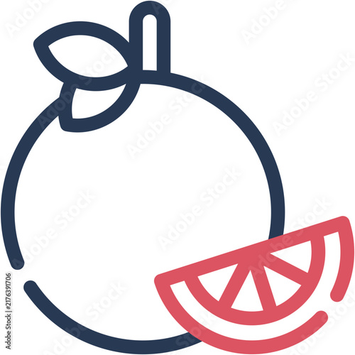 Orange Icon - Vector Graphic Design