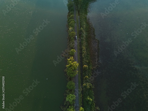Fotografía Top-down aerial view of car driving on tree-lined causeway road between two lake