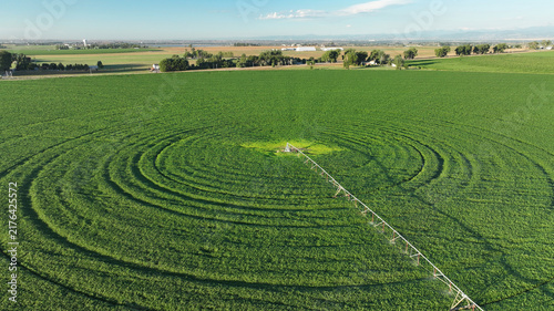 Konstfotografi Irrigation to deal with agricultural struggles, water scarcity, and the visual impact of the drought on the farming landscape in Fort Collins and Severance