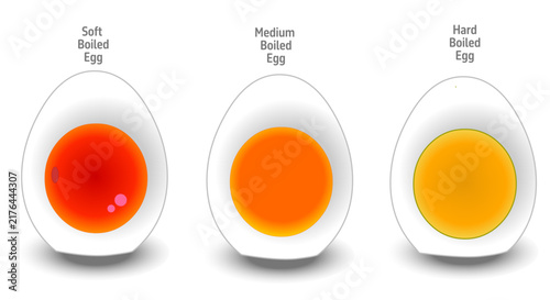 Boiled eggs, soft, medium, hard boiled. Poached healthy protein food. how minute, yellow orange red colors yolk. Illustration vector