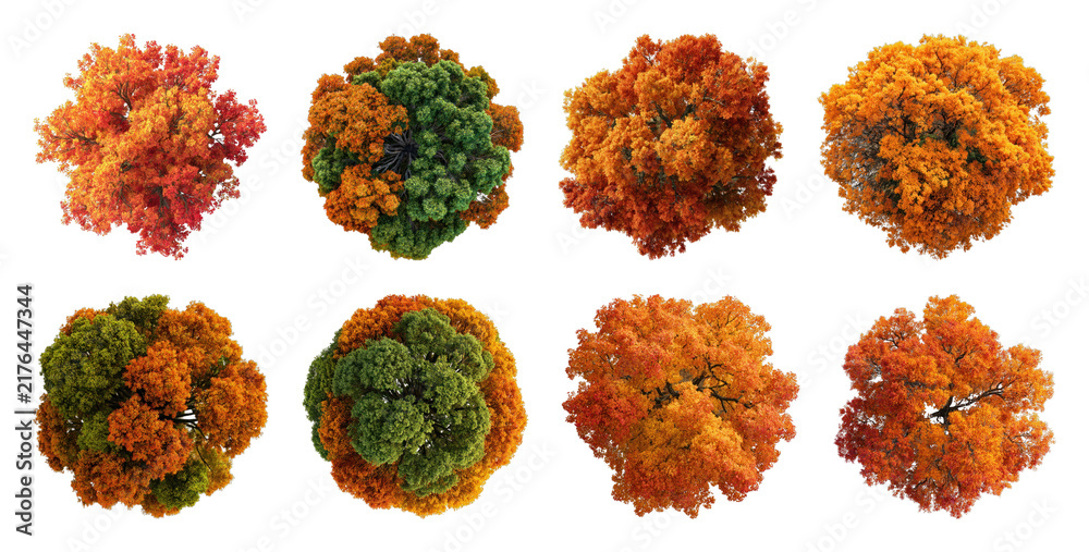 Obraz premium PNG Vibrant autumn trees in various colors from above on transparent background