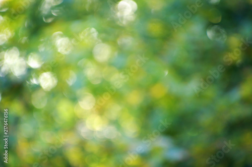 Green bokeh background from nature forest out of focus