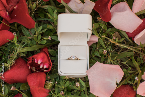 Beautiful Wedding Engagement Ring in a box surrounded by rose petals on the green grass 
