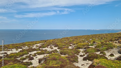 Canvastavla Beau panorama sur la mer d'Iroise depuis les falaises du Cap de la Chèvre, un jo