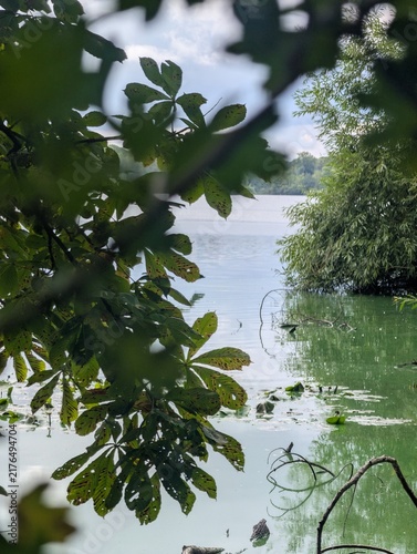 Foto View of a calm lake framed by horse chestnut leaves and overhanging greenery on a cloudy day