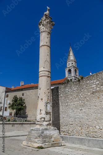 Ancient Roman column with Corinthian capital and a seagull on top at the Forum, Zadar, Croatia