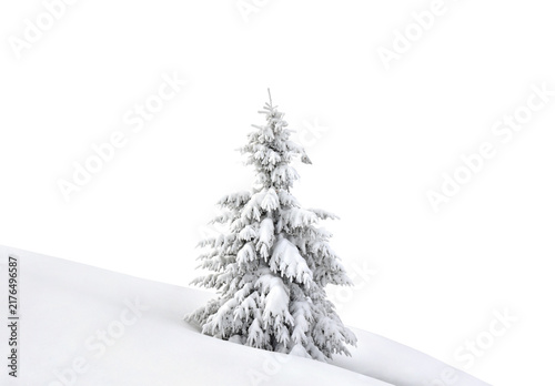 Bild auf Leinwand Winter landscape with snow covered fir tree, snowy glade and copy space on white