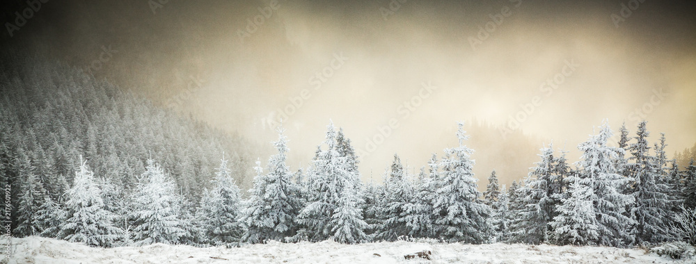 Naklejka premium winter landscape with snowy fir trees in the mountains