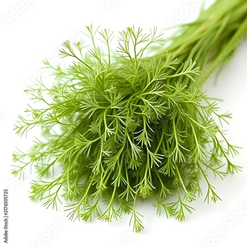 Dill herb with feathery green stalks on white background.