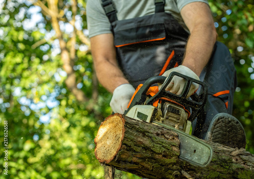 Fotografía Working tirelessly in a lush green forest, a person cuts through a thick log wit