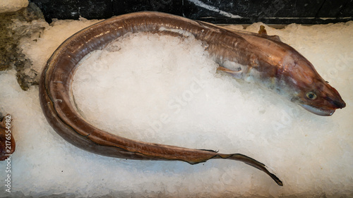 Принти на полотні Fresh conger eel displayed on ice at fish market