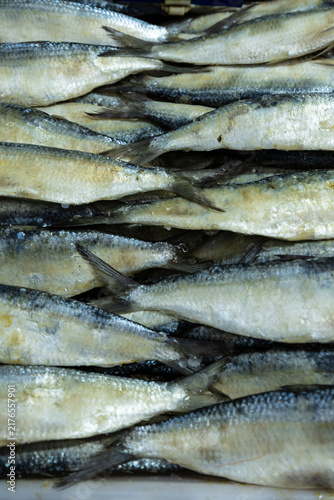 Canvastavla Sardine for sale at central food market, Sao Paulo, Brazil