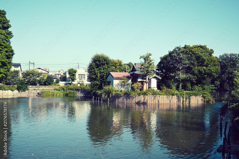 Fototapeta premium 碑文谷公園 碑文谷池