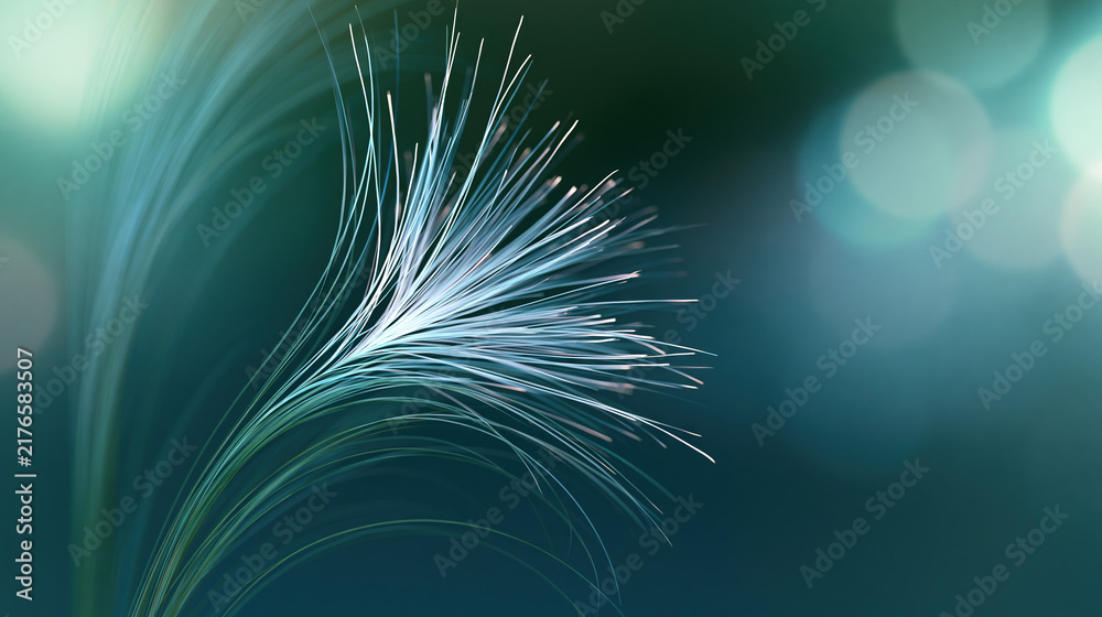 Fototapeta premium Blurred Green Grass Blades Against Dark Background