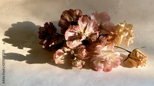 Sunset-Lit Wilted Flowers on Neutral Background