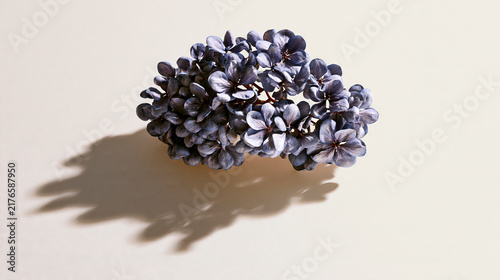 Purple flowers in a simple vase against a light background