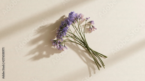 Purple Flowers on a Soft Background with Gentle Lighting