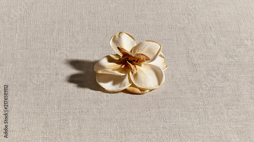 Delicate Golden Floral Brooch on Textured Background