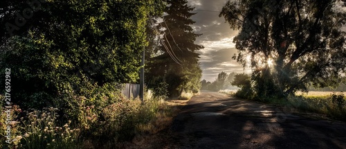 Sunlit Country Road - A Serene Path Through Natures Embrace.