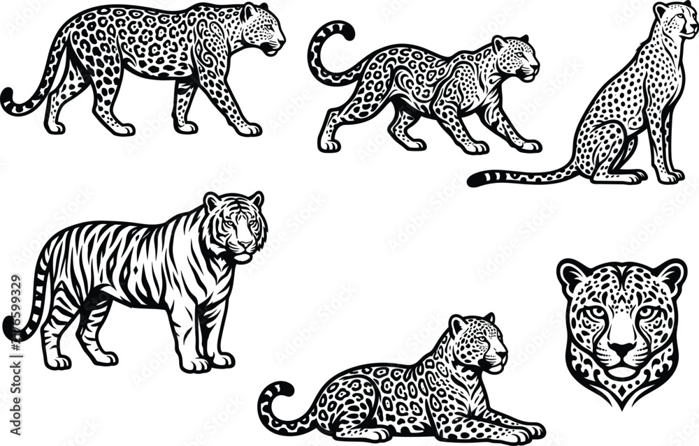 Obraz premium Detailed black and white vector illustrations of leopards, cheetahs, and tiger with distinctive fur patterns, artistic linework, and stylized feline head design