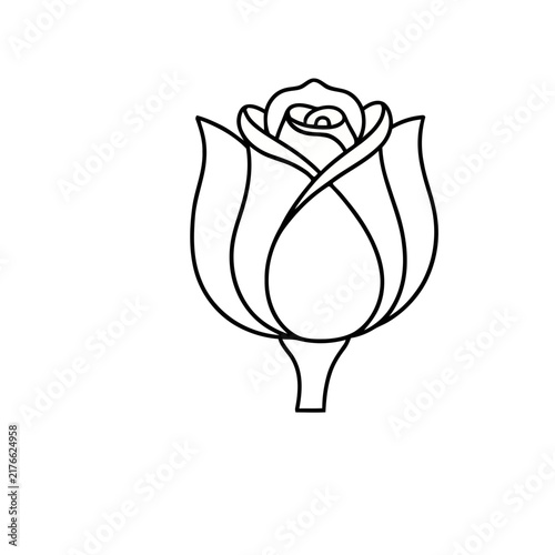 Outline of a Rose