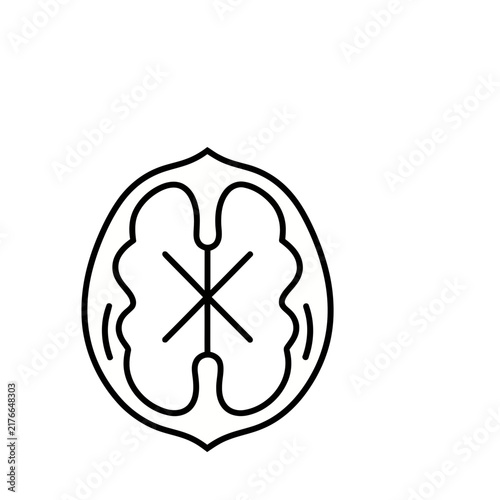 Walnut half icon