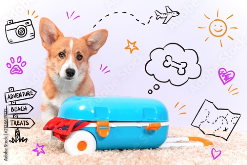A corgi dog sits behind an open blue suitcase packed with red clothing, surrounded by doodles of a camera, airplane, sun and map, a concept of pet vacation planning.