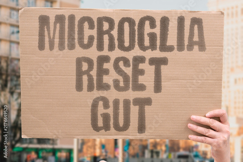 Cuadro en lienzo "Microglia reset gut" Gut microbes reprogram brain immune cells