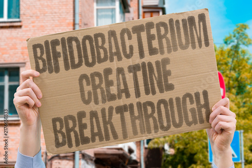 Bild auf Leinwand "Bifidobacterium creatine breakthrough" Novel antidepressant strategy emerges