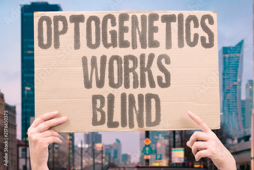 Canvastavla "Optogenetics works blind" Light-sensitive proteins restore sight
