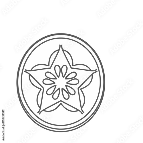 Star fruit slice outline