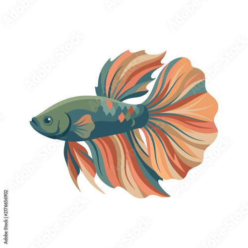 Colorful Fancy Goldfish with Flowing Multicolored Fins Illustration on White Background