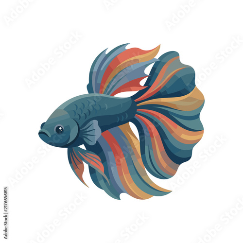 Colorful Betta Fish Illustration with Flowing Fins on White Background
