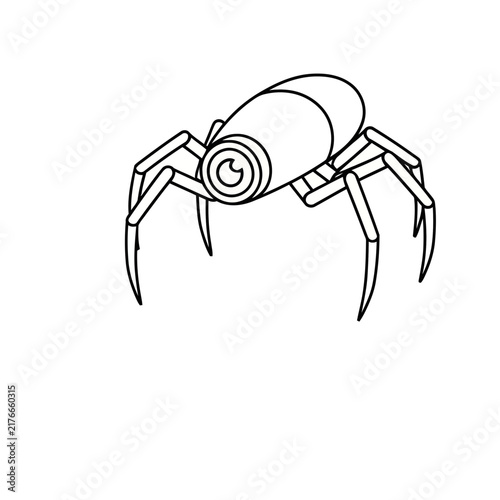 Stylized Spider Illustration