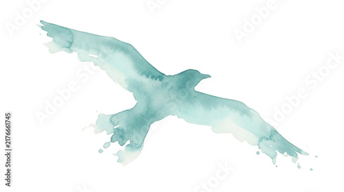 Ilustração artística em aquarela de uma gaivota voando, pintada em tons suaves de azul-petróleo com texturas fluidas e bordas irregulares, isolada sobre um fundo branco puro para design criativo.