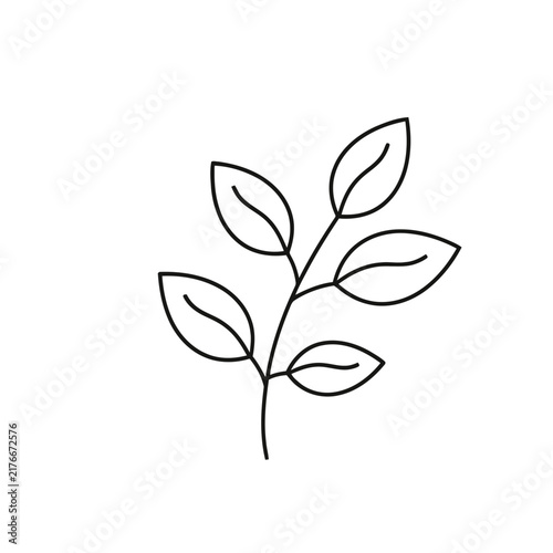 Simple line drawing of a plant stem with leaves