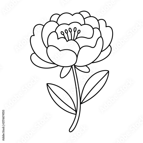 Black and white outline vector drawing of a beautiful blossom flower with leaves
