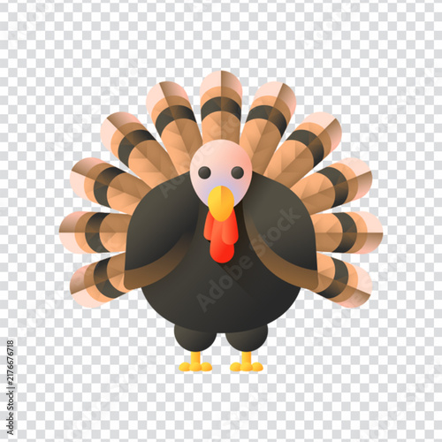 Turkey Icon