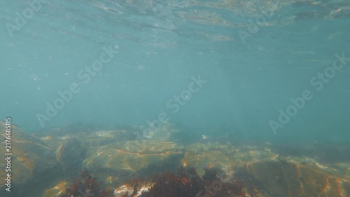 view of seafloor