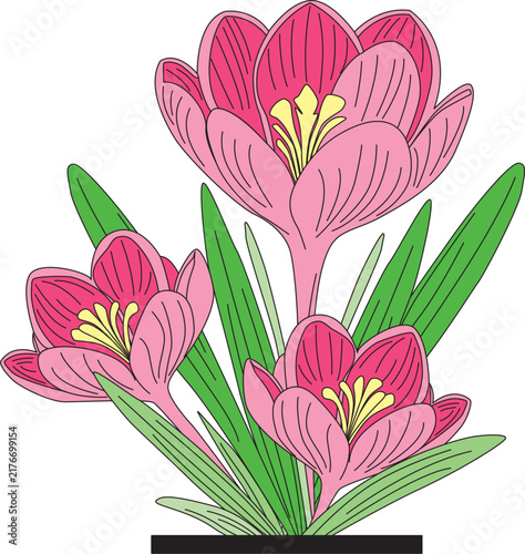 hand draw pink flower broom for decor vector design